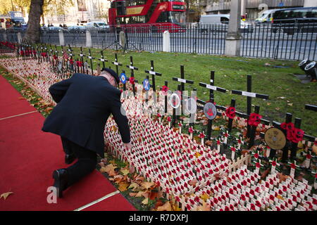 The Duke of Sussex visits the Field of Remembrance at Westminster Abbey. This is be the 90th year of the Field of Remembrance, and the 6th time that His Royal Highness has attended the event.  Featuring: Atmosphere Where: London, United Kingdom When: 08 Nov 2018 Credit: John Rainford/WENN Stock Photo