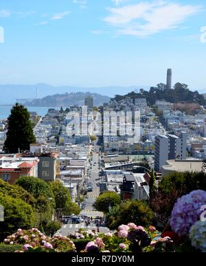 View from Lombard Street in San Francisco towards Telegraph Hill and Oakland Bay Bridge, urban, blue sky, sunny