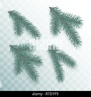 Conifer branches set. Green branches of a Christmas tree isolated on transparent background. Holiday decor element. Vector illustration Stock Vector