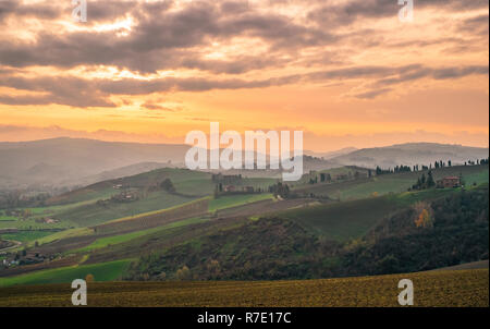 The hills in the southwest of Bologna; Protected Geographical Indication area of typical wine named 'Pignoletto'. Bologna province, Italy Stock Photo
