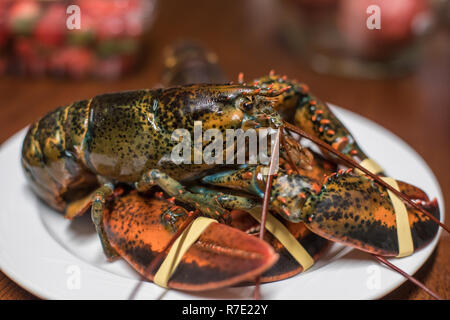 not cooked live big lobster on the table Stock Photo