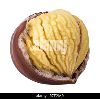 Chestnut isolated on white background. Clipping path Stock Photo