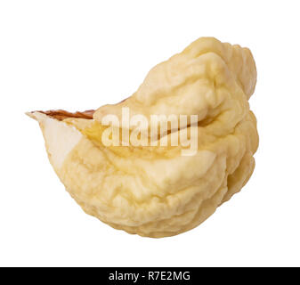 Chestnut isolated on white background. Clipping path Stock Photo