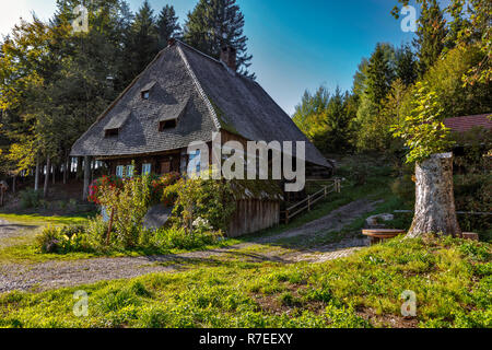 Rankmühle near St.Märgen in the Black Forest, Germany Stock Photo