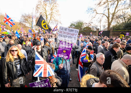 Brexit Betrayal march. Protesters are demonstrating at what they see as a betrayal by the UK government in not following through with leaving the EU in its entirety after the referendum. UKIP placard Stock Photo