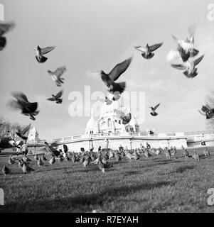 A flock of pigeons is pictured flying in front of the the Sacre Coeur de Montmartre basilica in Paris, France, in November 1970. The basilica is located on the hill of Montmartre. Photo: Wilfried Glienke | usage worldwide Stock Photo