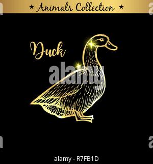 Golden and royal Hand Drawn Emblem of farm Duck animal. Butchery shop branding, meat products. Butcher market. Gold Outline Sketch and lettering. Contour drawing concept Stock Vector
