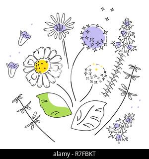 Print poster vector illustration about Field Flower isolated on White Background, element of pattern Stock Vector