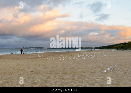 Old age for two. Walk by the sea, woman, man and dog senior couple hugging and walking on seashore
