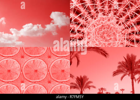 Tropical Ccreative collage inspired by Living Coral color of the Year 2019. Hot summer mood, fashion minimal. Stock Photo