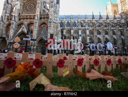 The Duke of Sussex visits the Field of Remembrance at Westminster Abbey. This is be the 90th year of the Field of Remembrance, and the 6th time that His Royal Highness has attended the event.  Featuring: Atmosphere Where: London, United Kingdom When: 08 Nov 2018 Credit: John Rainford/WENN Stock Photo