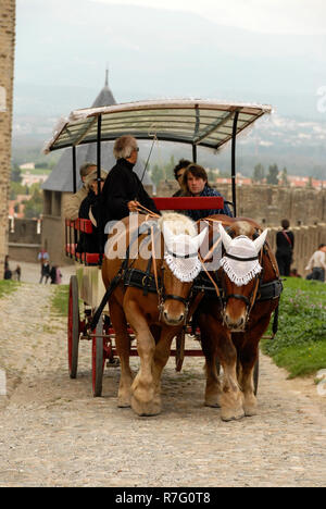 A horse drawn carriage towing a group of tourists on a guided tour around the inner defence walls of the castle at Carcassonne in the department of Au Stock Photo