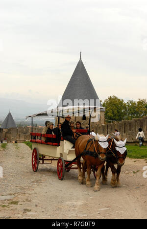 A horse drawn carriage towing a group of tourists on a guided tour around the inner defence walls of the castle at Carcassonne in the department of Au Stock Photo