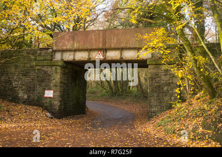 Steel bridge of disused railway line number 3736 Stock Photo