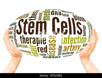 Stem cells word cloud hand sphere concept on white background. Stock Photo
