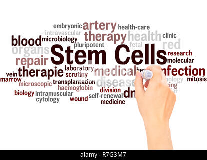 Stem cells word cloud hand writing concept on white background. Stock Photo