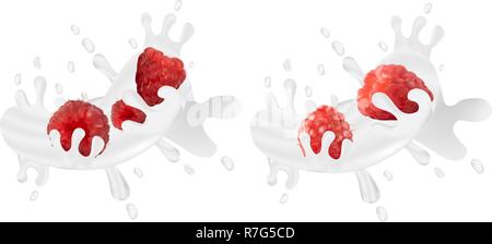 Set of realistic milk splashes together with raspberries isolated against a white background. Vector illustration. Stock Vector