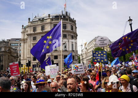 In June 2018 hundreds of thousands of people turned up to the Peoples Vote march in London  to voice their opinion on Brexit. Stock Photo