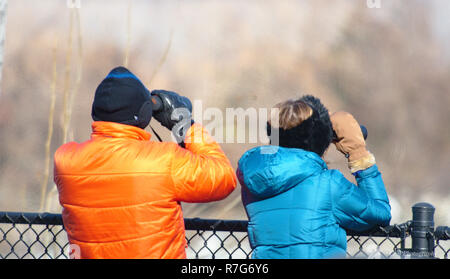 Senior couple binoculars bird watching for Eagles a Conowingo Dam in Winter Stock Photo