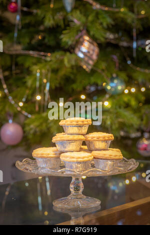 Platter of mince pies in silver foil wrappers in fron of Christmas tree Stock Photo
