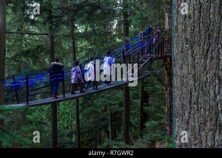 Treetops Adventure and Canyon Lights, Capilano Suspension Bridge Park, North Vancouver, British Columbia, Canada Stock Photo