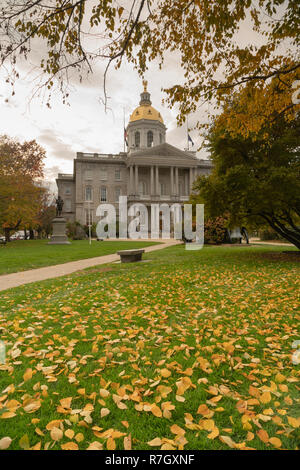Fall leaves on the lawn at the State Capital Building of New Hampshire at Concord Stock Photo