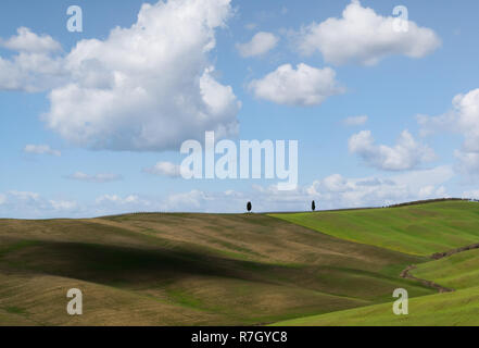 Lush green hills with cypress trees and cloud shadows on a sunny day, Tuscany, Italy Stock Photo