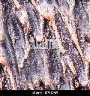 seamless polished wavy bronze texture. background, concept Stock Photo