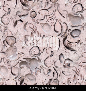 seamless natural coquina shell rock texture. background, geological. Stock Photo