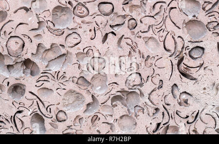 natural coquina shell rock texture. background, geological. Stock Photo