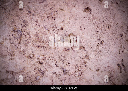 pink marble texture interspersed with quartz. vignette, background, geological. Stock Photo