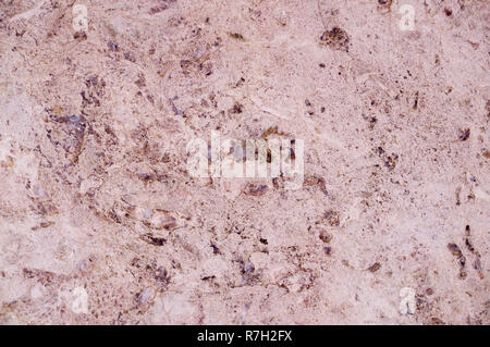 pink marble texture interspersed with quartz. background, geological. Stock Photo