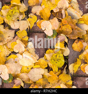 seamless yellow autumn leaves on the sidewalk tiles. background, nature. Stock Photo