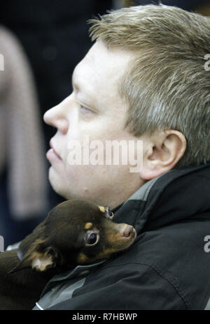 Kyiv, Kyiv, Ukraine. 9th Dec, 2018. Dog of the Toy Terrier breed seen resting on the shoulder of its owner during the dog show.Crystal Cup of Ukraine 2018 Dog show. Credit: Vadim Kot/SOPA Images/ZUMA Wire/Alamy Live News Stock Photo