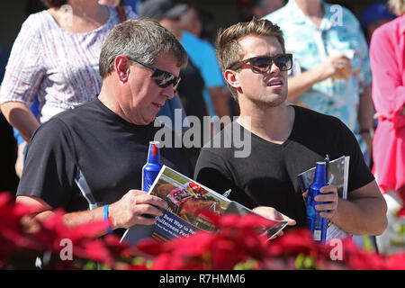 Hallandale Beach, FL, USA. 8th Dec, 2018. December 8, 2018 :, Scenes from Clasico del Caribe Stakes Day at Gulfstream Park on December 8, 2018, in Hallandale Beach, FL. Liz Lamont/ESW/CSM/Alamy Live News Stock Photo