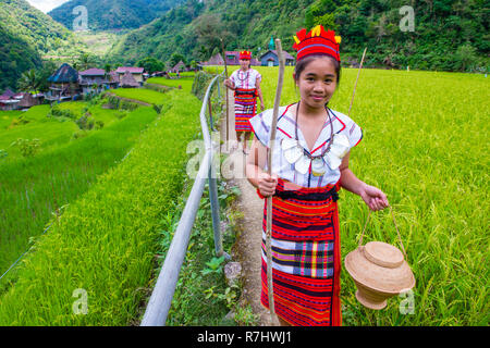 Women from Ifugao Minority near a rice terraces in Banaue the Philippines Stock Photo