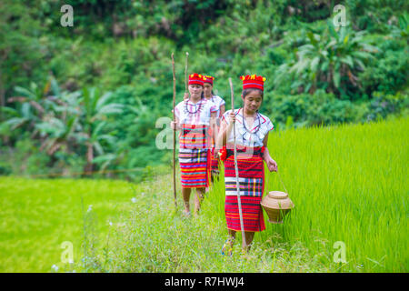 Women from Ifugao Minority near a rice terraces in Banaue the Philippines Stock Photo