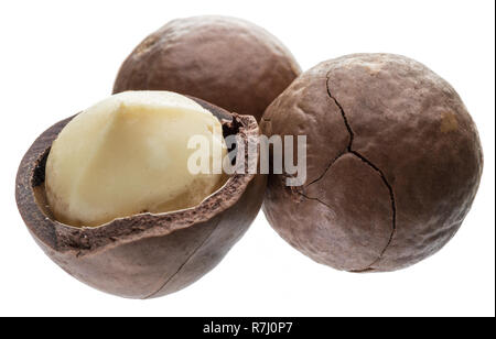 Macadamia nuts or bush nuts isolated on white background. Stock Photo