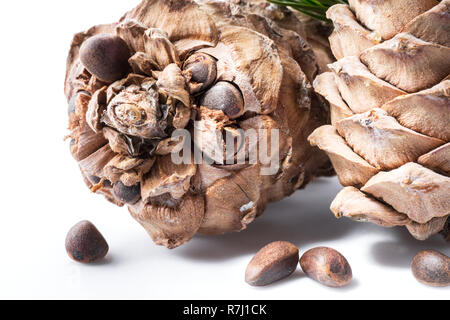 Pine nut cones and pine nuts on the white background. Organic food. Stock Photo