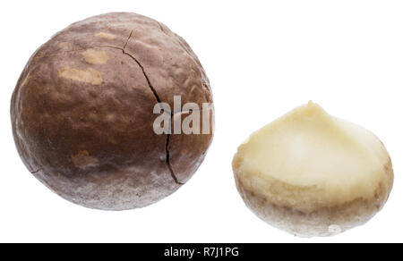 Whole macadamia nut and macadamia nut kernel isolated on white background. Stock Photo