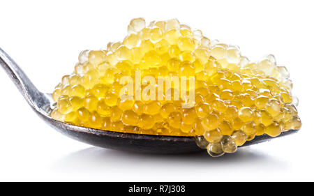 Pike caviar or roe in spoon isolated on white background. Stock Photo