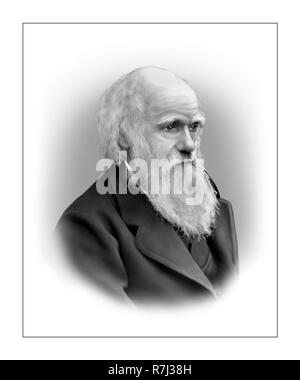 Charles Darwin  1809 - 1882  English Naturalist Stock Photo