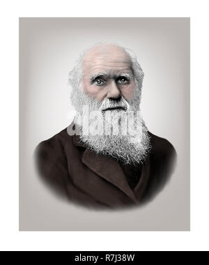 Charles Darwin  1809 - 1882  English Naturalist Stock Photo