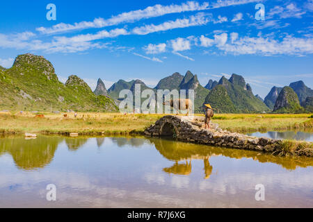 Chinese farmer with water buffalo on stone bridge in picturesque valley surrounded by karst limestone hills in Huixian, China. Stock Photo
