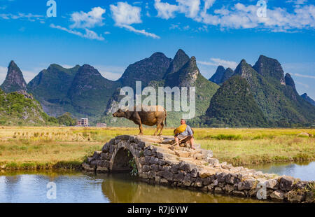 Chinese farmer with water buffalo on stone bridge in picturesque valley surrounded by karst limestone hills in Huixian, China. Stock Photo