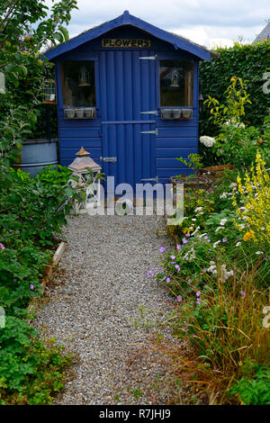 wooden, garden ,shed, gardens, gardening, blue,navy, wood, hut, locked, shut,attractive,garden feature,potting shed,RM Floral Stock Photo