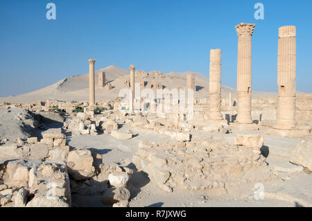 Ruins of the ancient city of Palmyra, Palmyra District, Homs ...