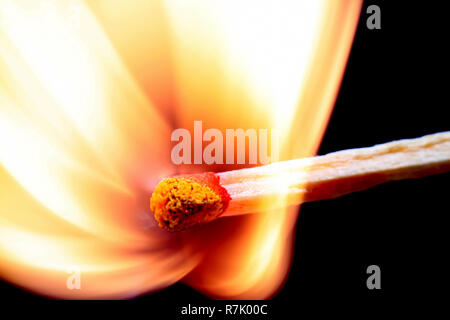 Matchstick fire burning, macro studio shot and empty space for text Stock Photo