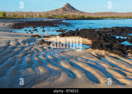 Dragon Hill beach Santa Cruz Island Galapagos Islands Unesco