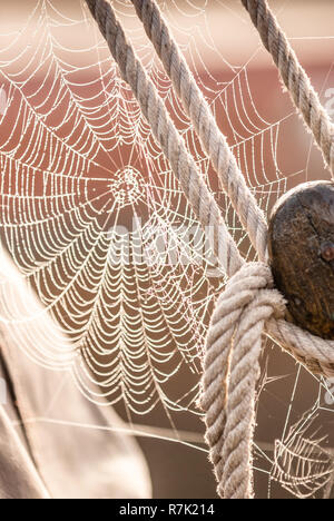 Morning Dew on Spiderweb backlit between touwgerei a historic fishing boat  Stock Photo - Alamy